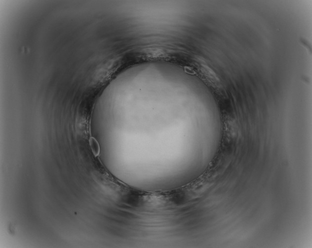 X0000091570419200708271203