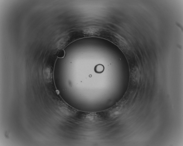 X0000091570420200708271203
