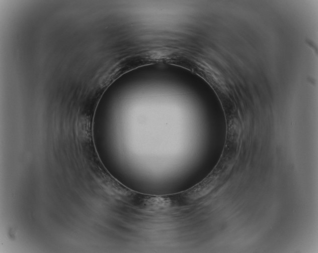 X0000091570421200708271203