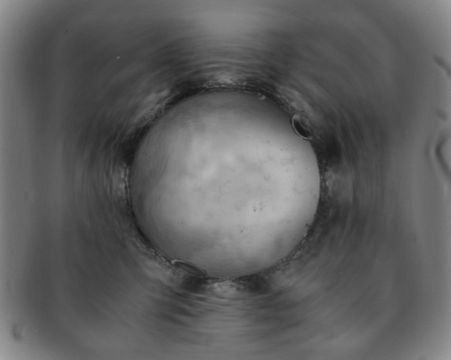 X0000091570423200708271203