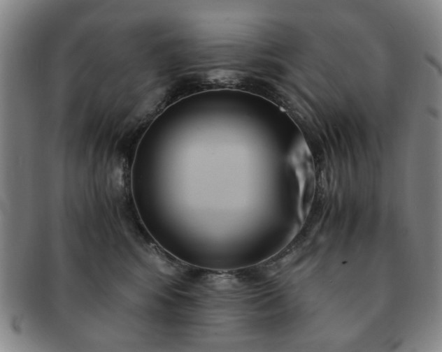 X0000091570424200708271203
