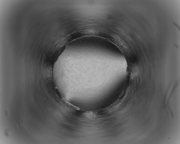X0000091570425200708271203