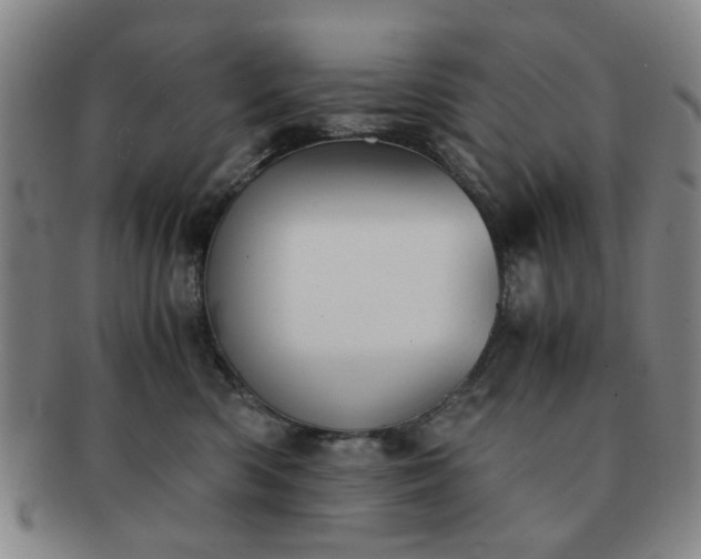 X0000091570426200708271203