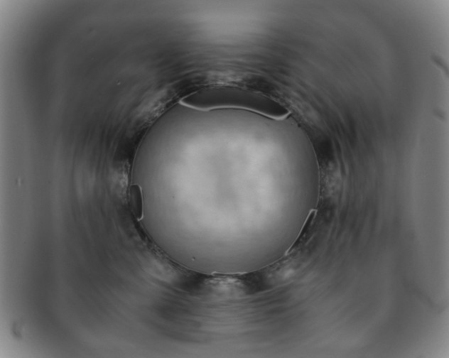 X0000091570427200708271203