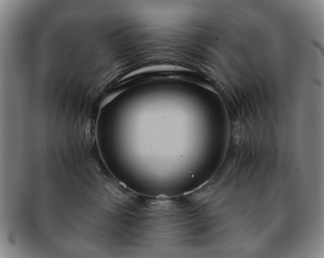 X0000091570428200708271203