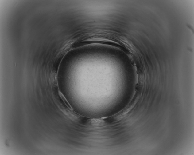 X0000091570429200708271203