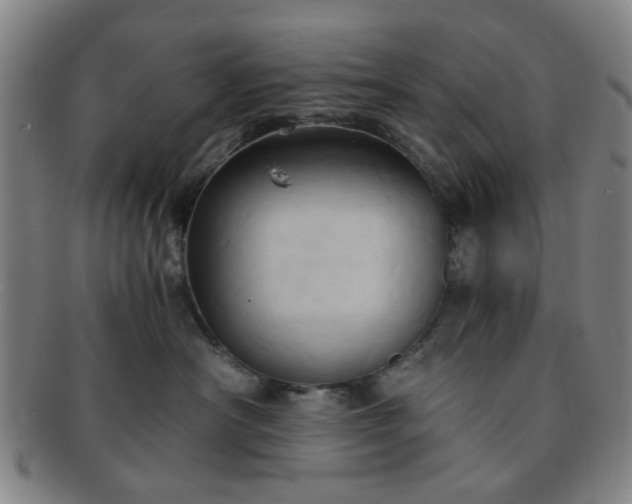 X0000091570430200708271203