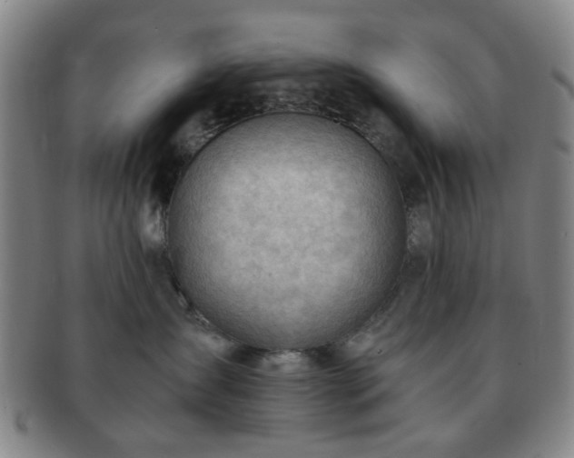 X0000091570431200708271203