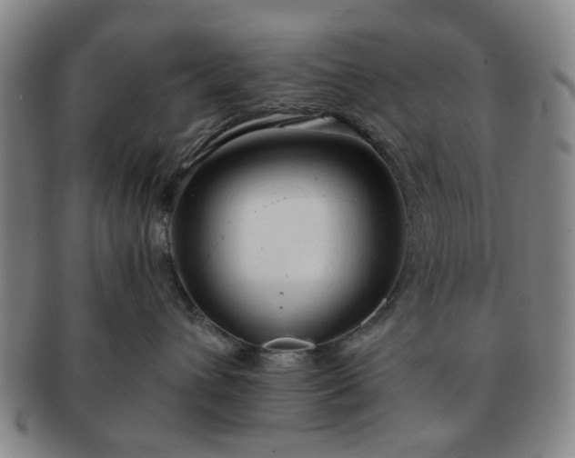 X0000091570432200708271203