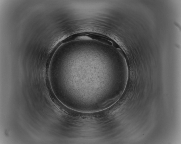 X0000091570434200708271202