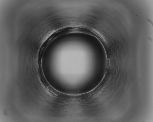 X0000091570436200708271202