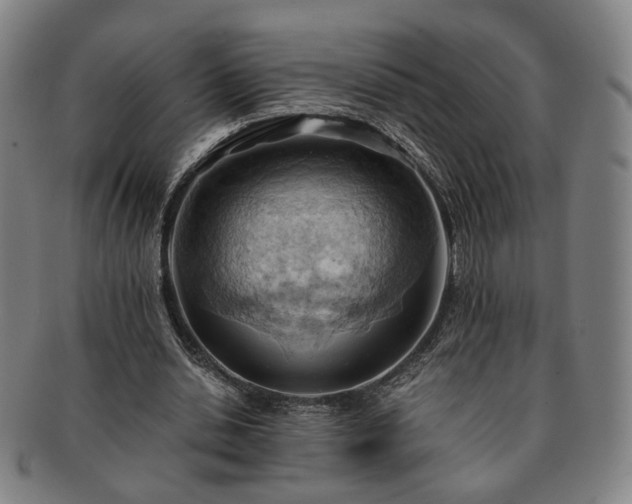 X0000091570438200708271202