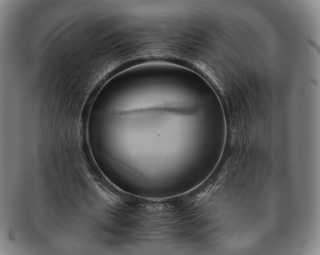 X0000091570439200708271202