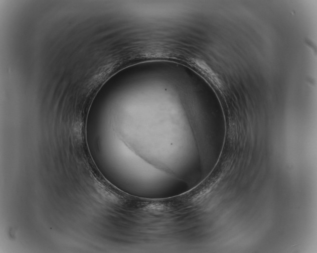 X0000091570441200708271202