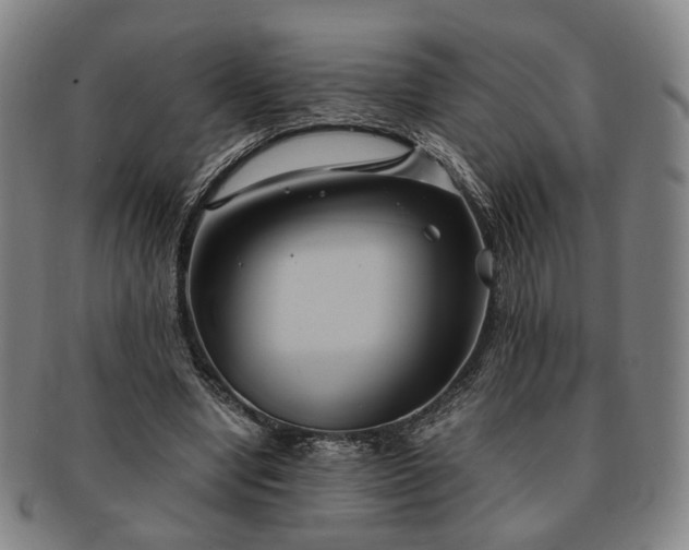 X0000091570442200708271202