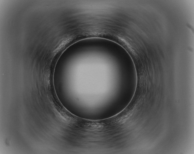X0000091570443200708271202