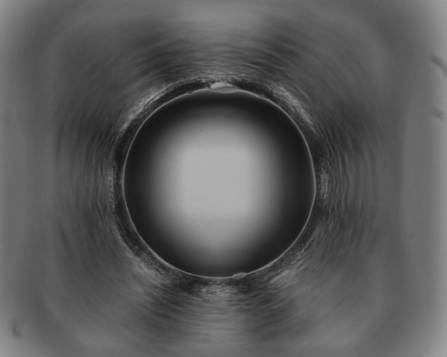 X0000091570444200708271202