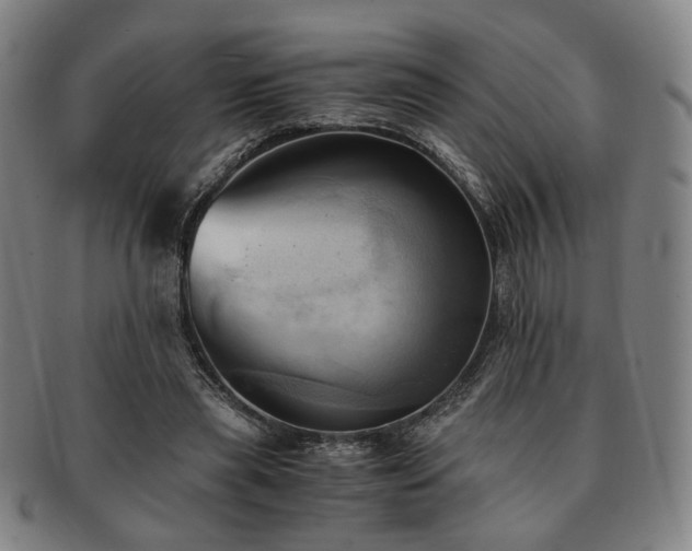 X0000091570445200708271202