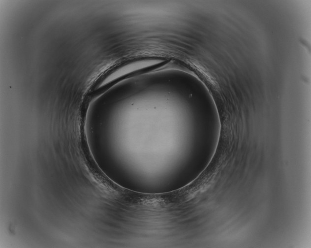 X0000091570446200708271202