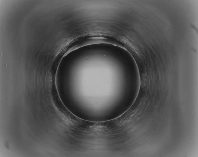 X0000091570448200708271202
