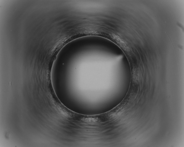 X0000091570449200708271202
