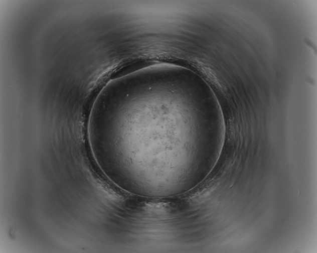 X0000091570450200708271202
