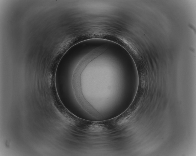 X0000091570451200708271202