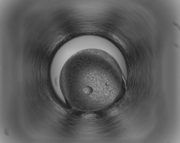 X0000091570452200708271202