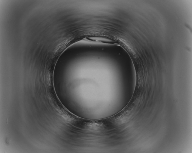 X0000091570453200708271202