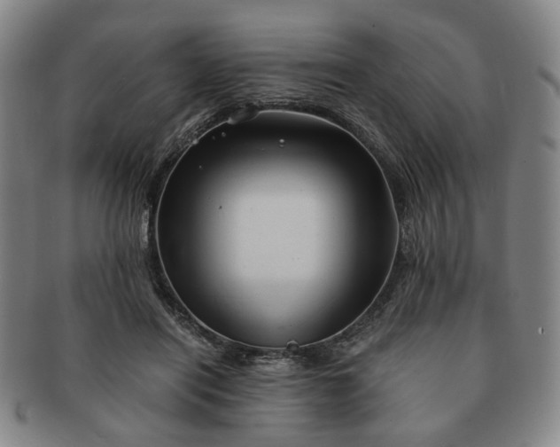 X0000091570454200708271202