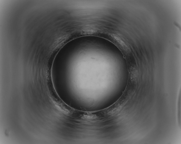 X0000091570455200708271202