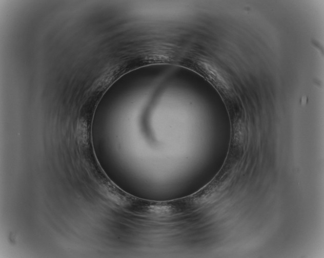 X0000091570457200708271202