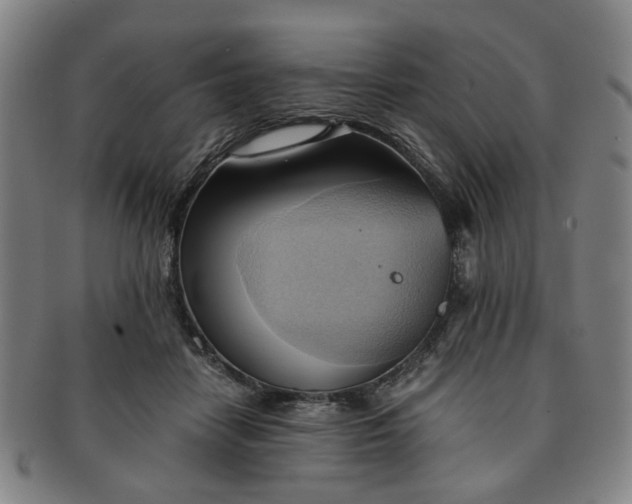 X0000091570458200708271202