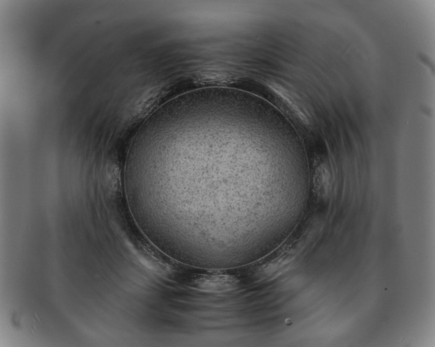 X0000091570459200708271202