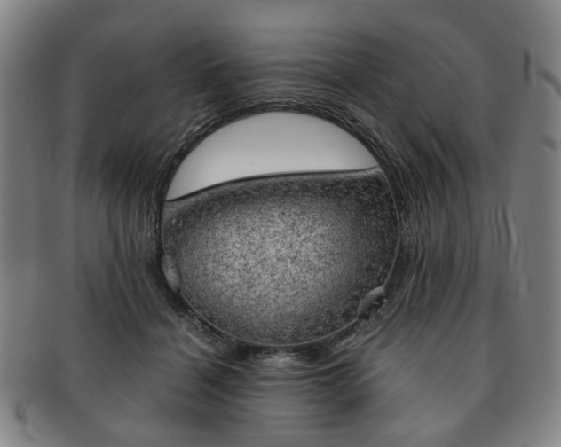 X0000091570460200708271202