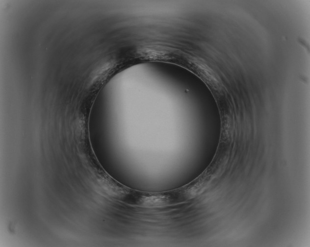 X0000091570461200708271202
