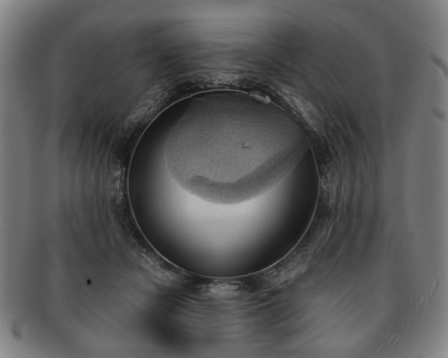 X0000091570462200708271202