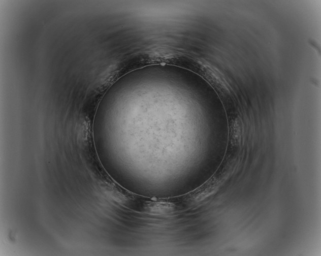 X0000091570463200708271202