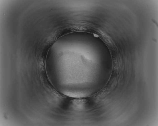 X0000091570465200708271202