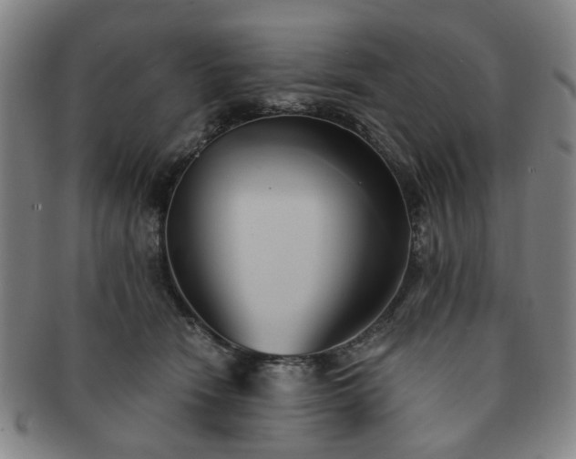X0000091570466200708271202