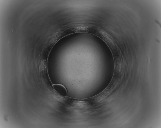 X0000091570467200708271202