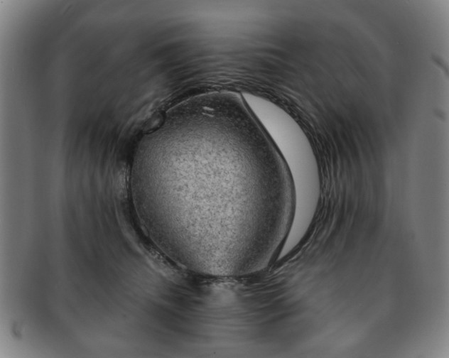 X0000091570468200708271202