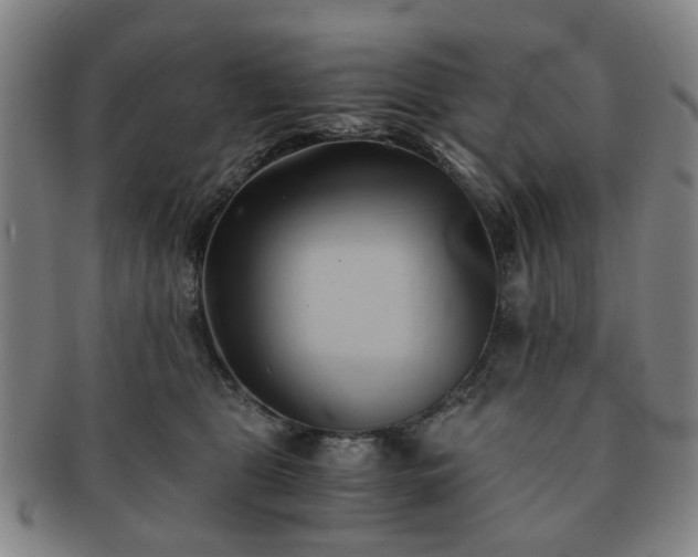 X0000091570469200708271202