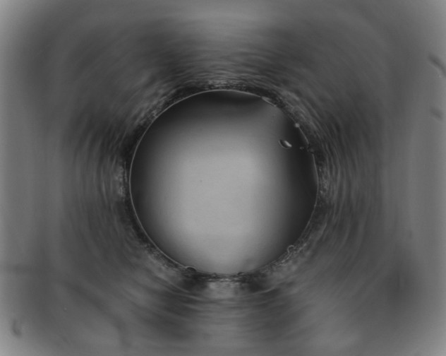 X0000091570470200708271202