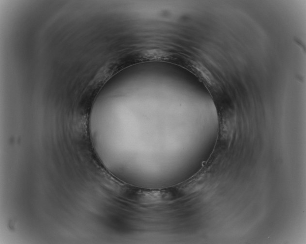 X0000091570473200708271203