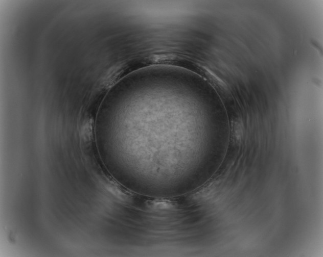 X0000091570475200708271203