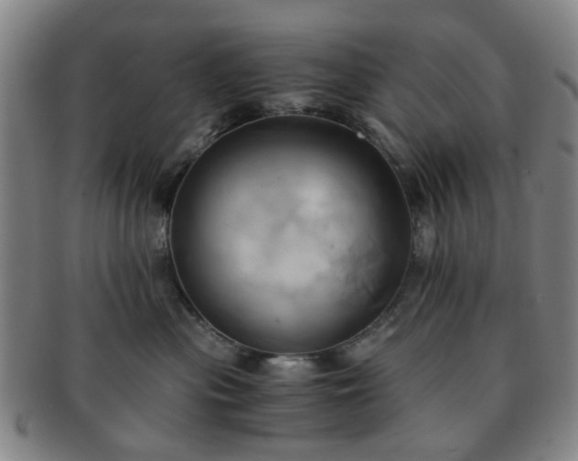 X0000091570477200708271203