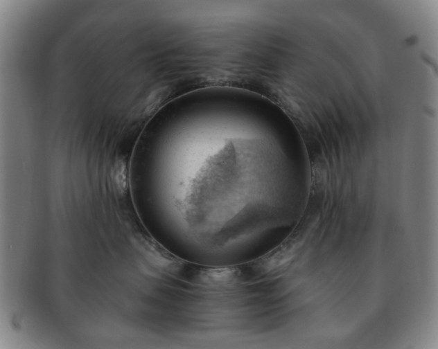 X0000091570479200708271203