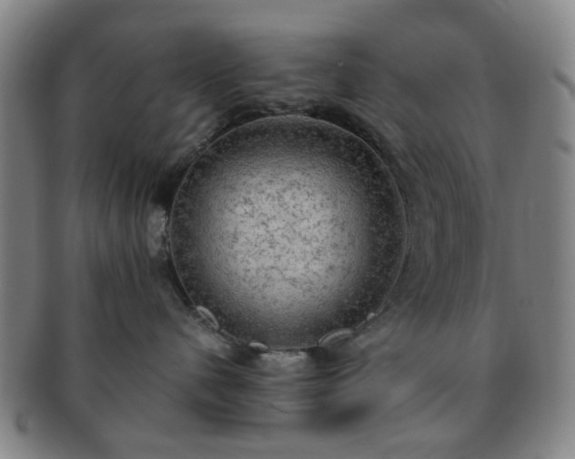 X0000091570480200708271203