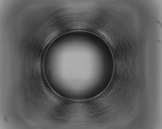 X0000091570482200708271202